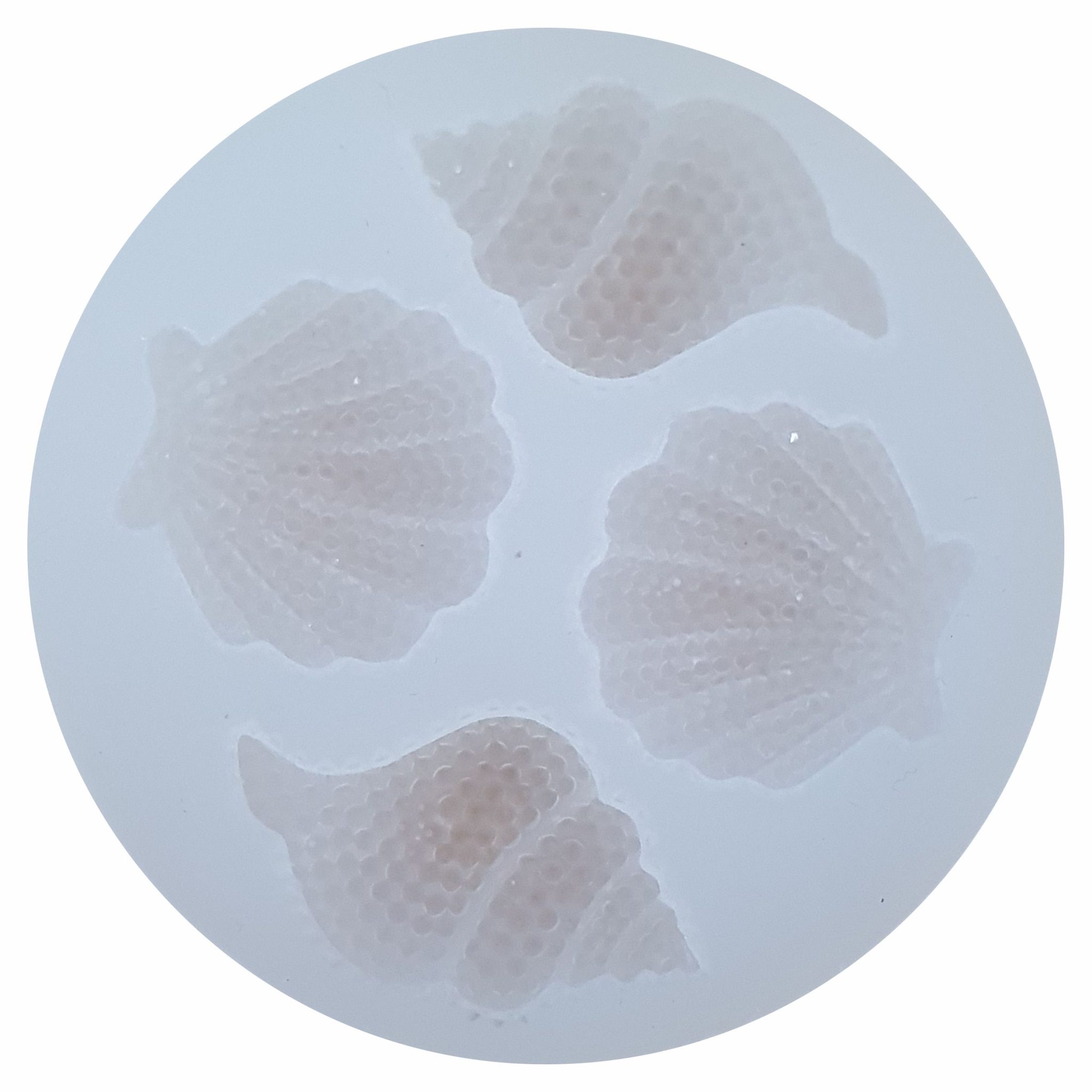 Silicone Mould -Assorted Shells – Atlas paints