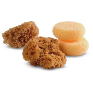 Royal Langnickel Natural & Synthetic Sponge set 4pc